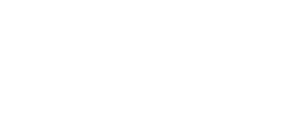 Northern Lights IT Consulting
